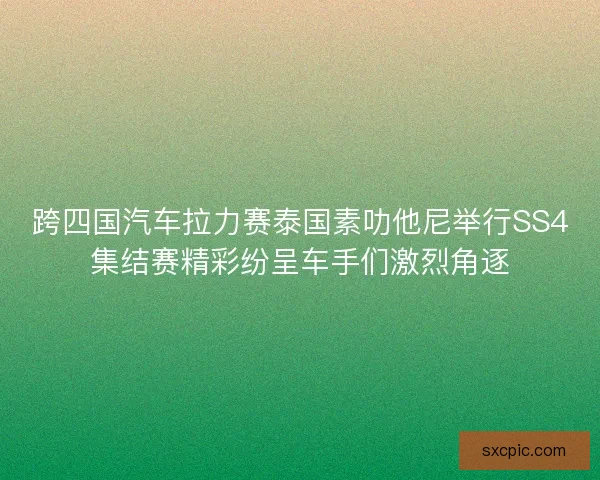 跨四国汽车拉力赛泰国素叻他尼举行SS4集结赛精彩纷呈车手们激烈角逐 跨四国汽车拉力赛泰国素叻他尼举行SS4集结赛精彩纷呈车手们激烈角逐