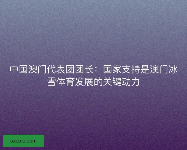 中国澳门代表团团长:国家支持是澳门冰雪体育发展的关键动力 中国澳门代表团团长:国家支持是澳门冰雪体育发展的关键动力