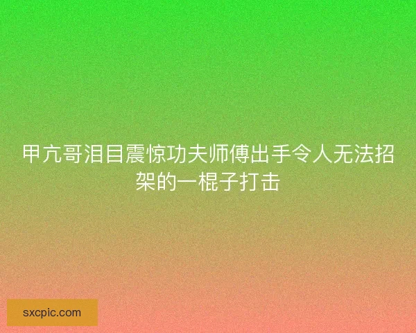 甲亢哥泪目震惊功夫师傅出手令人无法招架的一棍子打击