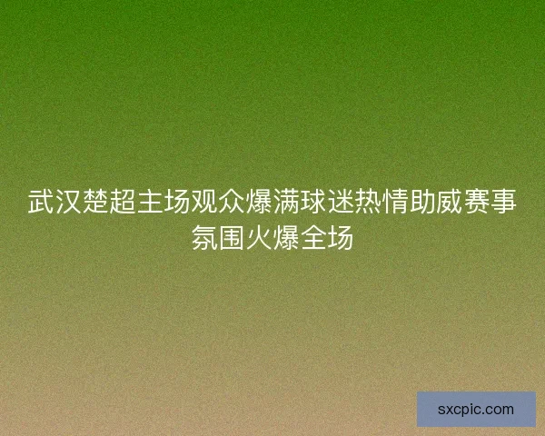 武汉楚超主场观众爆满球迷热情助威赛事氛围火爆全场