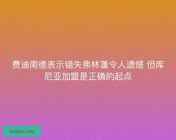费迪南德表示错失弗林蓬令人遗憾 但库尼亚加盟是正确的起点