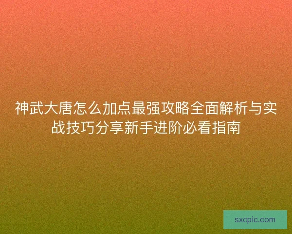 神武大唐怎么加点最强攻略全面解析与实战技巧分享新手进阶必看指南